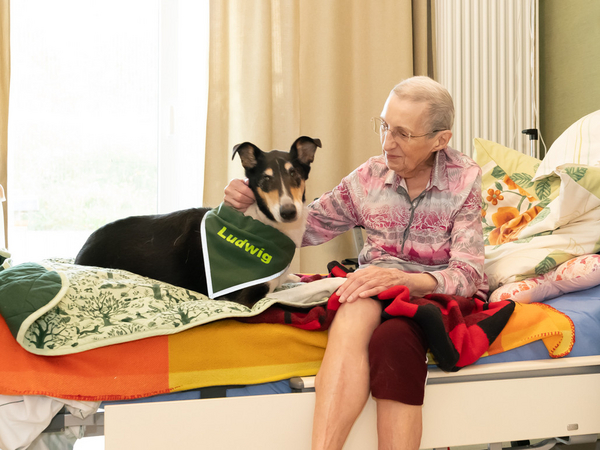 Gast mit Besuchshund Balaou - Spenden für Hundetherapie - Diakonie Hospiz Woltersdorf Gast mit Besuchshund Balaou - Spenden für Hundetherapie - Diakonie Hospiz Woltersdorf